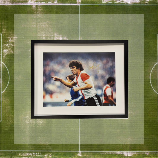 Willem van Hanegem - Feyenoord poster